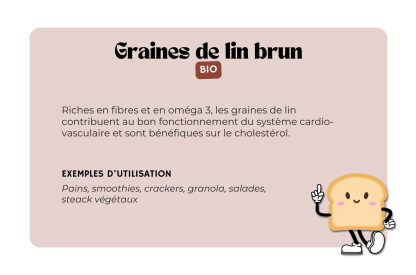 Graines de lin brun bio France