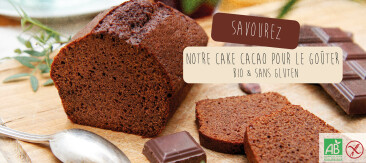 Découvrez notre cake cacao !