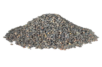 Lentilles vertes bio & sans gluten France