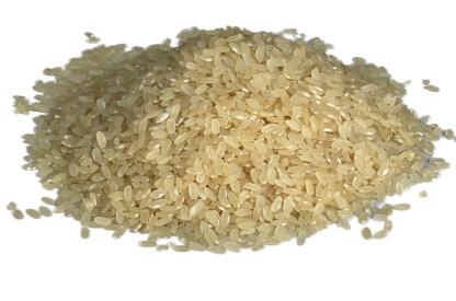 Riz long blanc de Camargues bio