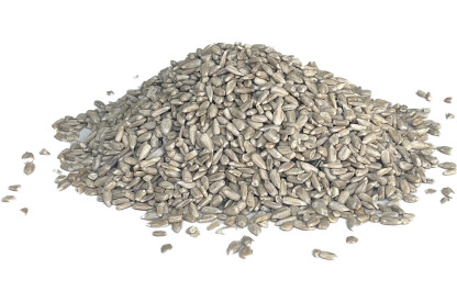 Graines de tournesol bio