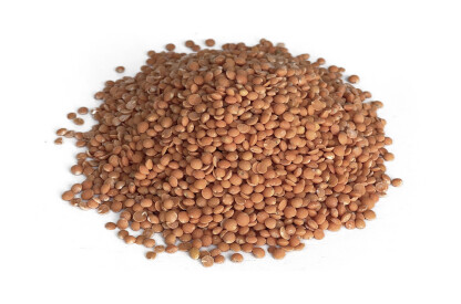 Lentilles corail Bio