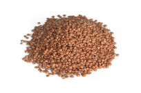 Lentilles corail Bio
