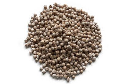 Pois chiche bio France