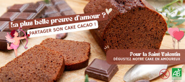 Partagez notre cake cacao sans gluten et sans lactose pour la Saint-Valentin