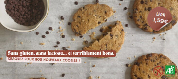 Découvrez nos délicieux cookies sans gluten et sans lactose